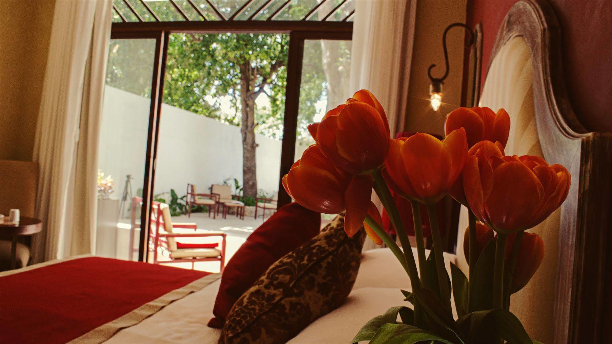 Casa Italia Luxury Guest House - Adults Only Mérida Exterior photo