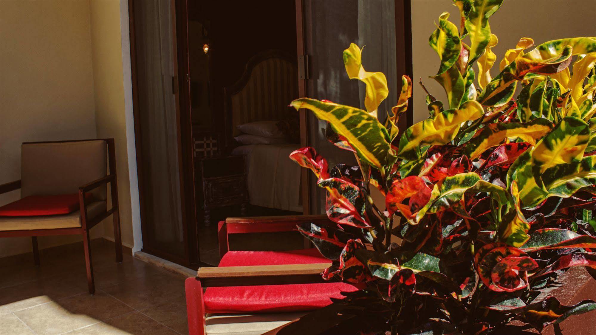 Casa Italia Luxury Guest House - Adults Only Mérida Exterior photo
