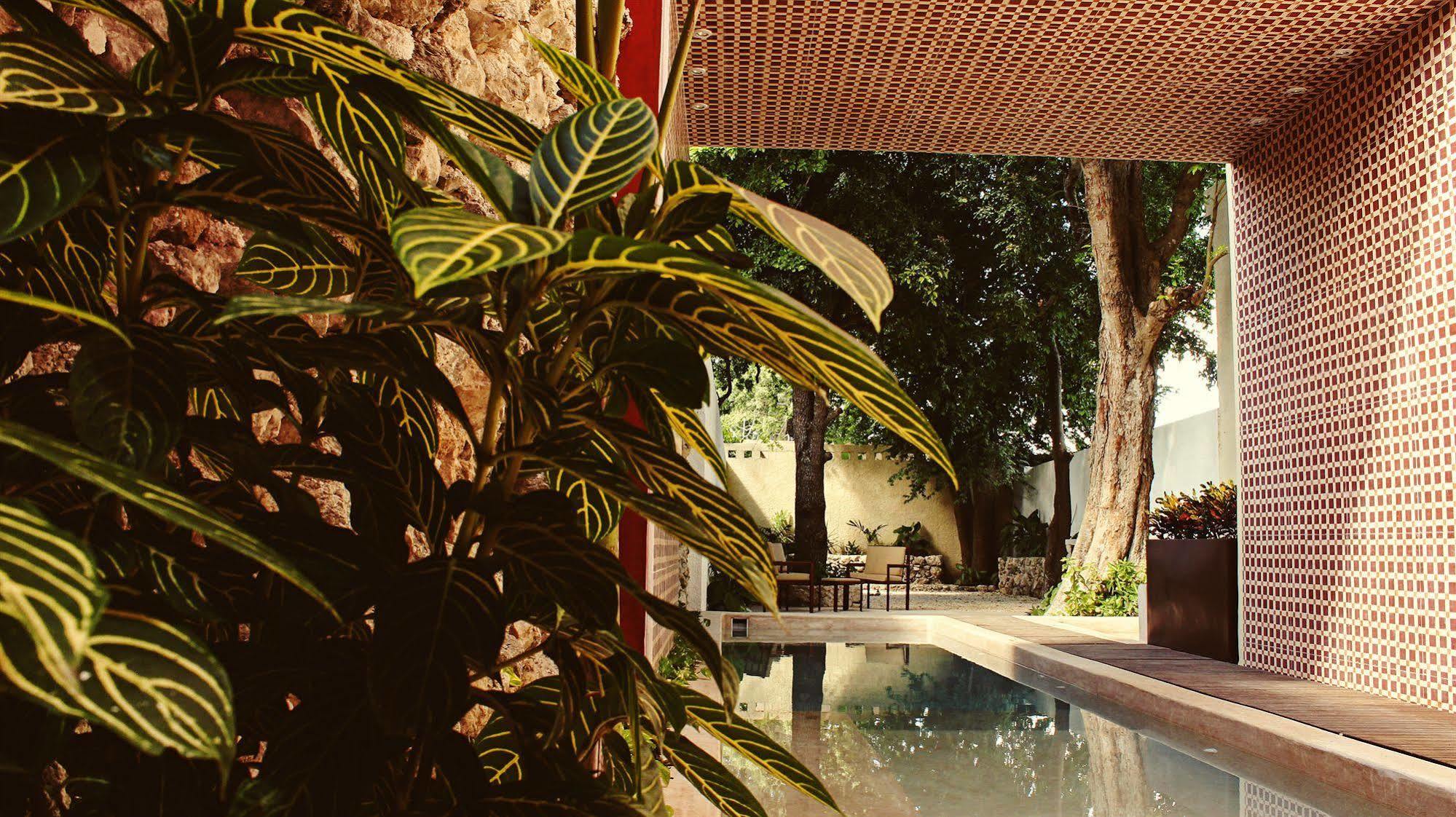 Casa Italia Luxury Guest House - Adults Only Mérida Exterior photo